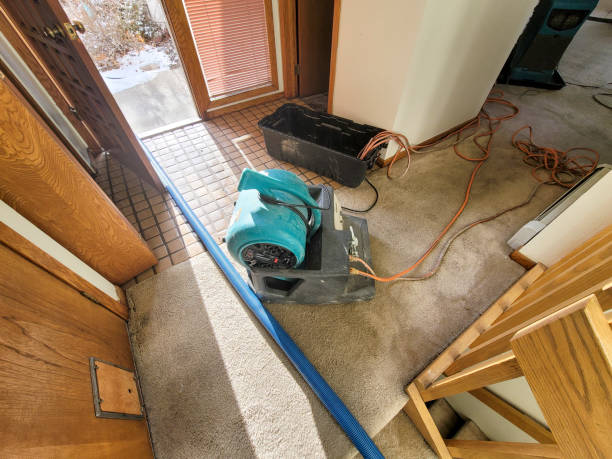 Best Flooded house restoration  in Shallotte, NC