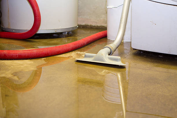 Best 24-hour water damage restoration  in Shallotte, NC